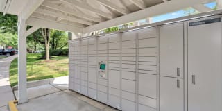 Columbia Glade Gallery 49