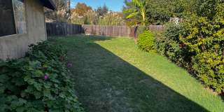 2745 Canyon Creek Dr Gallery 16