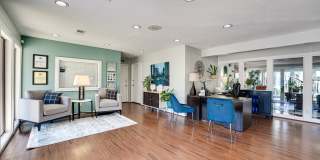 Southern Oaks Southern Oaks Gallery 60