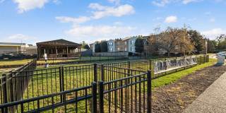 Olde Towne Village Gallery 6