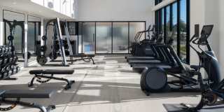 Oro Ballantyne Gallery 37