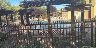 3107 Browntail Way Gallery 29