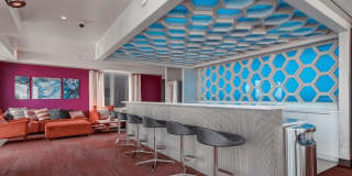 Blue and Lime Gallery 22