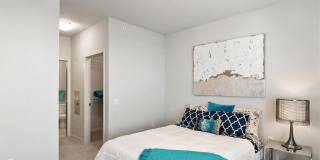 Blue and Lime Gallery 7