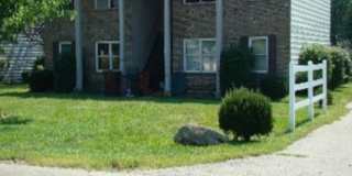 Large 2 bedroom apartment with washer/dryer hookup Gallery 1