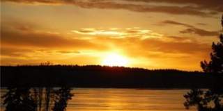 VIEW VIEW VIEW Gallery 1