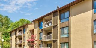 5915 TAMAR Drive Gallery 3