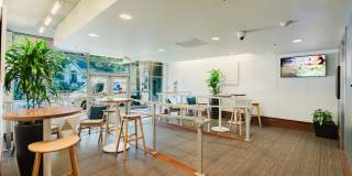 2121 Belmont Gallery 19