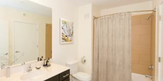 Marketplace at Fells Point Gallery 24