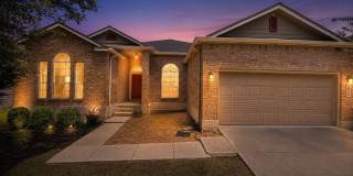 1938 Spotted Owl Gallery 1