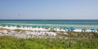 Gorgeous 4 bedroom pool house for rent w/ deeded beach access + pool & yard service included in the rent! Gallery 60