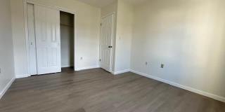 87 Sassafras Court Gallery 15