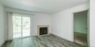 Laurel Oaks Gallery 11