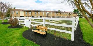 Willow Shores Gallery 19