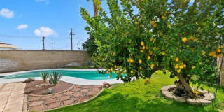 78481 Calle Felipe Gallery 33