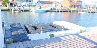 3428 Maritime Drive Gallery 4