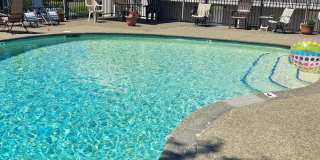 Olympic View Olympic View Gallery 1