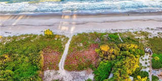 1446 Wyn Cove Drive Gallery 4