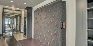 Arrive River Oaks Gallery 30