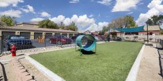 Aviara Gallery 13