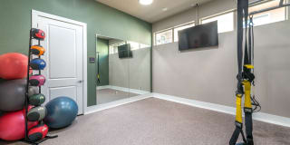 Olympus Waterford Gallery 10