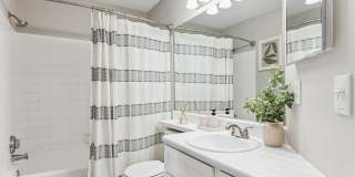 ReNew Marina Shores Gallery 8