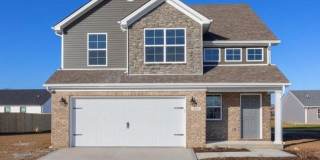 8165 Driftwood Loop Gallery 1