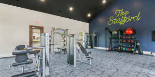 The Stafford Gallery 4