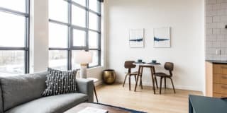 230 Ash Gallery 8