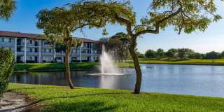 Cameron Cove Gallery 23