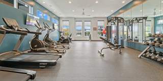 The Oasis at Twin Lakes Gallery 13