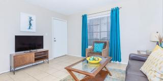 Rise on Cactus Gallery 48