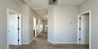 Viewable Now!  Small Dogs Accepted! Gallery 29