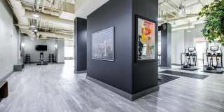 Array Gallery 13