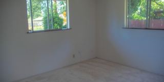 Spacious Renton Rambler w/ a HUGE Backyard! Gallery 7