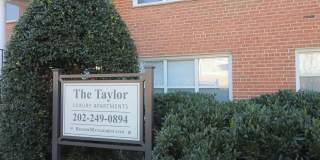The Taylor Gallery 52