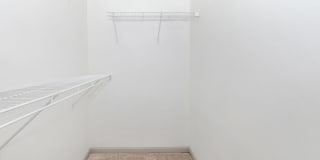 Gravity at 255 Gallery 36