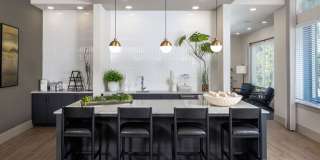 Cielo View Gallery 17