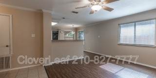 10343 Lion Chase Gallery 6