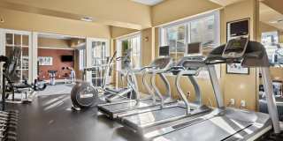 VILLAGGIO ON YARROW BAY Gallery 25