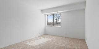 ReNew Woodland North and South Gallery 14