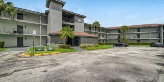 Spectra at Tamarac Gallery 50