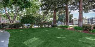 Paloma Vista Apartment Homes Gallery 6