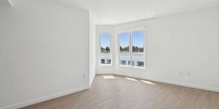 2599 Alsace Gallery 12