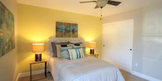 Ramblewood Apartments Gallery 33