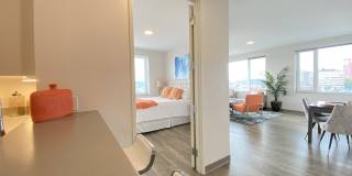 Red Oak at 409 Elm Street Gallery 27