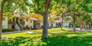 Tesoro on Spain Gallery 41