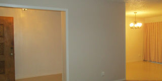 3/2 w/Large Back Yard in Village West! Gallery 7