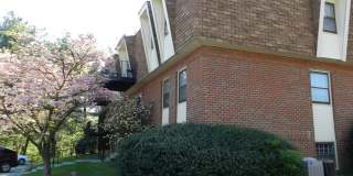 3501 Normandy Lane Gallery 4