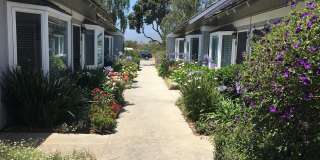 Cozy Studio by the Beach in Sandpiper III Complex! Gallery 1